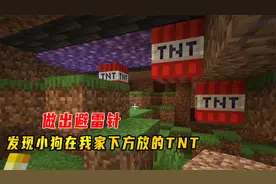 1.17我的世界87：做出避雷针，再次发现小狗在我家下方放的TNT