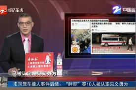 南京驾车撞人事件后续：“胖哥”等10人被认定见义勇为视频封面