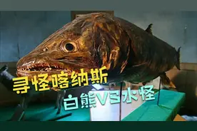 喀纳斯湖水怪露出真面目，原来是它！视频封面