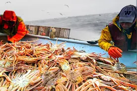 阿拉斯加捕蟹人，下圆形螃蟹笼捕捞雪蟹，小型海捕船功能齐全视频封面