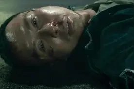 【混剪/剧情】甄子丹评价王宝强是真功夫，看把人给打的，真的疼视频封面