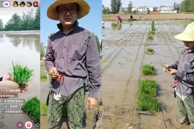 博士直播教插秧！河南一老师戴草帽穿胶鞋上网课：电脑长不出水稻视频封面