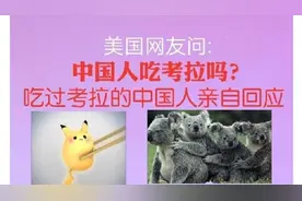 美国网友问中国人吃考拉吗？吃过考拉的中国人亲自回应视频封面