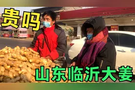 山东临沂大姜多少钱一斤？种了十几年的姜农说出实际价格，贵吗？视频封面