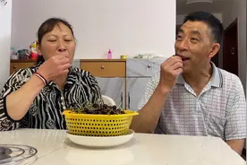 农村老夫老妻在城里享福了，儿子儿媳不在，看老俩口晚上吃了啥？视频封面