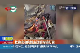 救助流浪狗博主疑似偷狗骗打赏，问收养从不回复，只回复刷礼物的