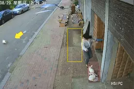 女主人当着公鹅面拿鹅蛋被记仇，每次路过都被追咬：没拿过的不咬视频封面