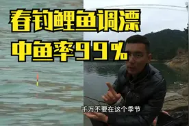 春天野钓鲤鱼，这样调漂中鱼率高达百分之九十九视频封面