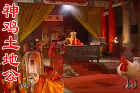 啄人脚能除晦气的公鸡【神鸡土地公】视频封面