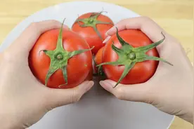 今天才明白，5片叶和6片叶的番茄，差别这么大，看完视频涨知识了