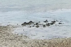 一声巨响！浙江嘉兴上空掉下不明物体，当地已开始调查视频封面