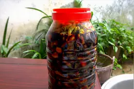 腌制小米椒竟然这么简单，小伙几个步骤，做出人间美味