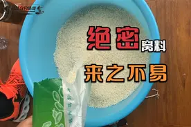 野钓绝密窝料，来之不易，看完后记得收藏