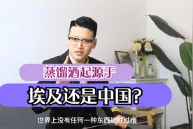 蒸馏酒起源于埃及还是中国？视频封面