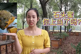 看起来如此逼真的石头蜜，菜场街边很常见，你是否上过当?