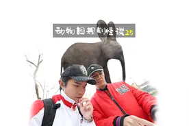 动物园规则25:持续更新···原版在同名抖音