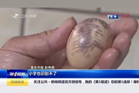 母鸡有怪癖自己下蛋自己吃，蛋上还有奇怪花纹，专家：不建议食用
