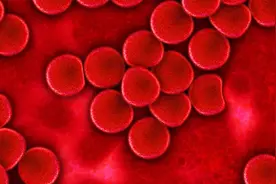 高中生物必修一重点知识导入12：细胞膜视频封面