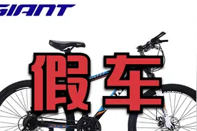 2023年了某宝竟然可以名目张胆售卖捷安特的假车震碎我的三观视频封面