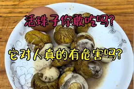 活珠子你敢吃吗？它对人体真的有危害吗？