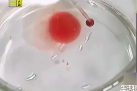 滴血认亲真的科学吗？一则实验为你揭晓答案|生活特供视频封面