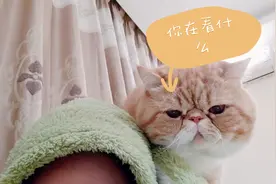 他喜欢的是我的衣服还是我？