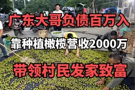 广东大哥负债百万，靠种植橄榄营收2000万，带领村民发家致富视频封面