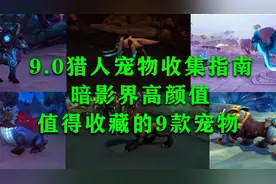 魔兽世界，9.0猎人宠物收集指南，9款最值得收藏的高颜值宠物