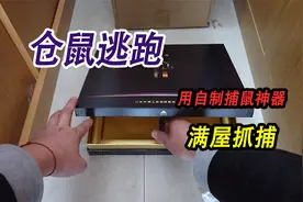 竹林里抓的野生仓鼠集体逃跑，礼品盒临时改装捕鼠装置，满屋抓捕视频封面