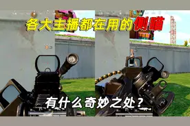 小鱼解说：各大主播都在用的侧边瞄具，到底有什么奇妙之处？