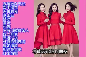 最美组合黑鸭子演唱经典歌曲精选14首