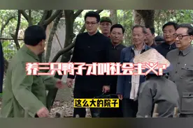 养三只鸭子才是社会主义？小平同志为此大发雷霆视频封面