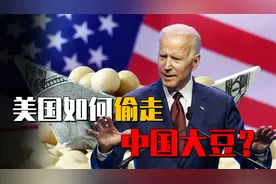 揭秘中美大豆战争：企业亏损百亿，中国如何扭转败局？视频封面