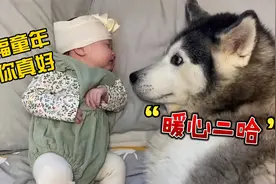 画面太暖了！狗狗陪着小主人一起长大，幸福的童年有你陪伴真好视频封面