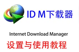 电脑软件 IDM使用设置方法
