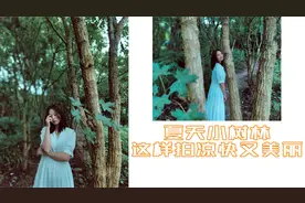 手把手教你巧用树叶和树干拍出唯美照片！
