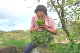 水芹，野菜中的极品，它和致命的毒芹外形非常相似，如何区分它们
