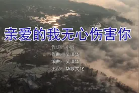 《亲爱的我无心伤害你》