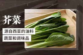 芥菜——源自西亚的油料 蔬菜和调味品