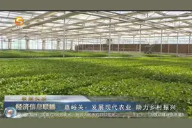 嘉峪关：发展现代农业 助力乡村振兴视频封面