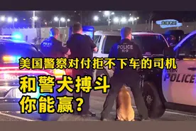 美国警察碎玻璃打催泪放警犬，拒不下车的小哥爬上车顶和警犬搏斗视频封面