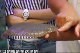 大地鱼、多宝鱼傻傻分不清楚？大叔教你只需看这个位置，轻松辨别视频封面