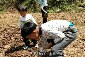农村怎么种花生呢？婷丫头实拍一家人种花生愉快过程