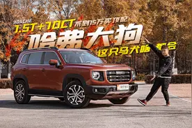 1.5T+7DCT 不到15万买顶配 这只马犬啥都会视频封面