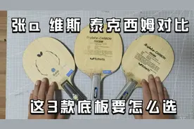 盘点3款蝴蝶底板的优缺点，教你如何选择张a、维斯和泰克西姆视频封面