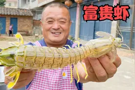 1600买15条“富贵虾”，比手臂还长，吃一只就饱了！视频封面