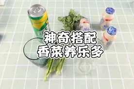 香菜雪碧奶三种混搭得夏日饮品，到底好不好喝？