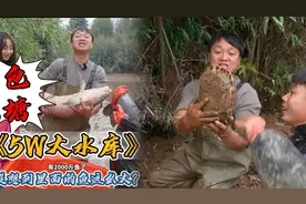 花5万包下一个塘主多年没干过的大水库，里面竟然还有这种大货视频封面