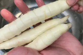 广东人常用的煲汤材料竹芋，煲汤清甜可口还清热，煲汤只服广东人