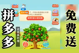 今天才知道，拼多多真的免费送水果！视频封面